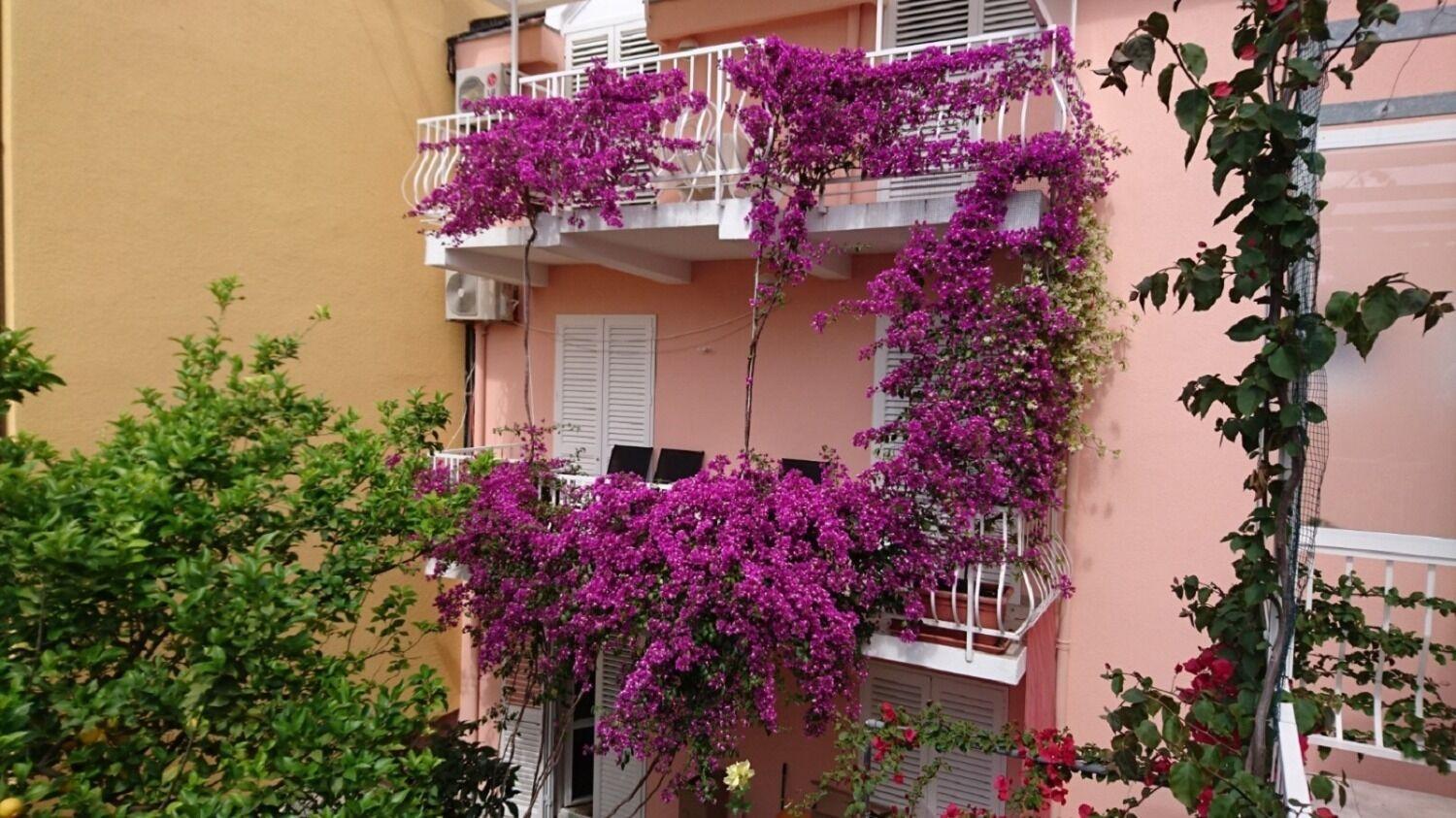 Apartments Ora Orebic Exterior photo